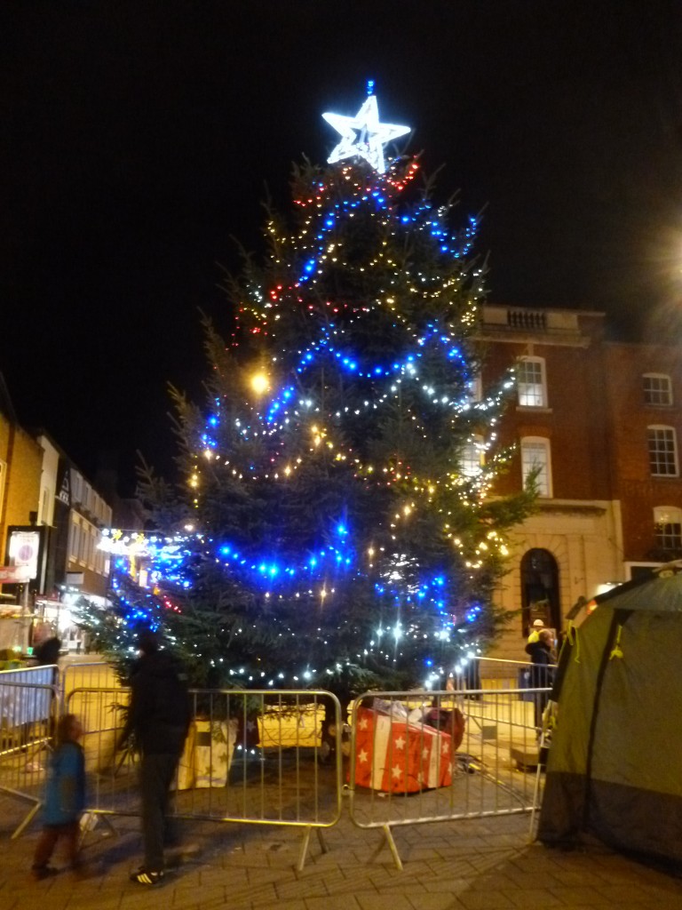 Export from camera 17th Nov 15 069 Dinmore Hill Christmas Trees