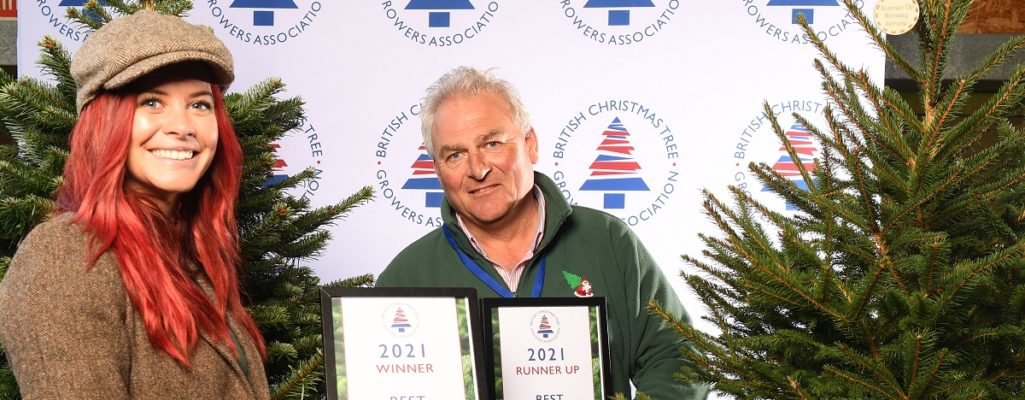 We won the BCTGA for Grower of Best Nordmann Fir & Runner-up-Best Norway Spruce!