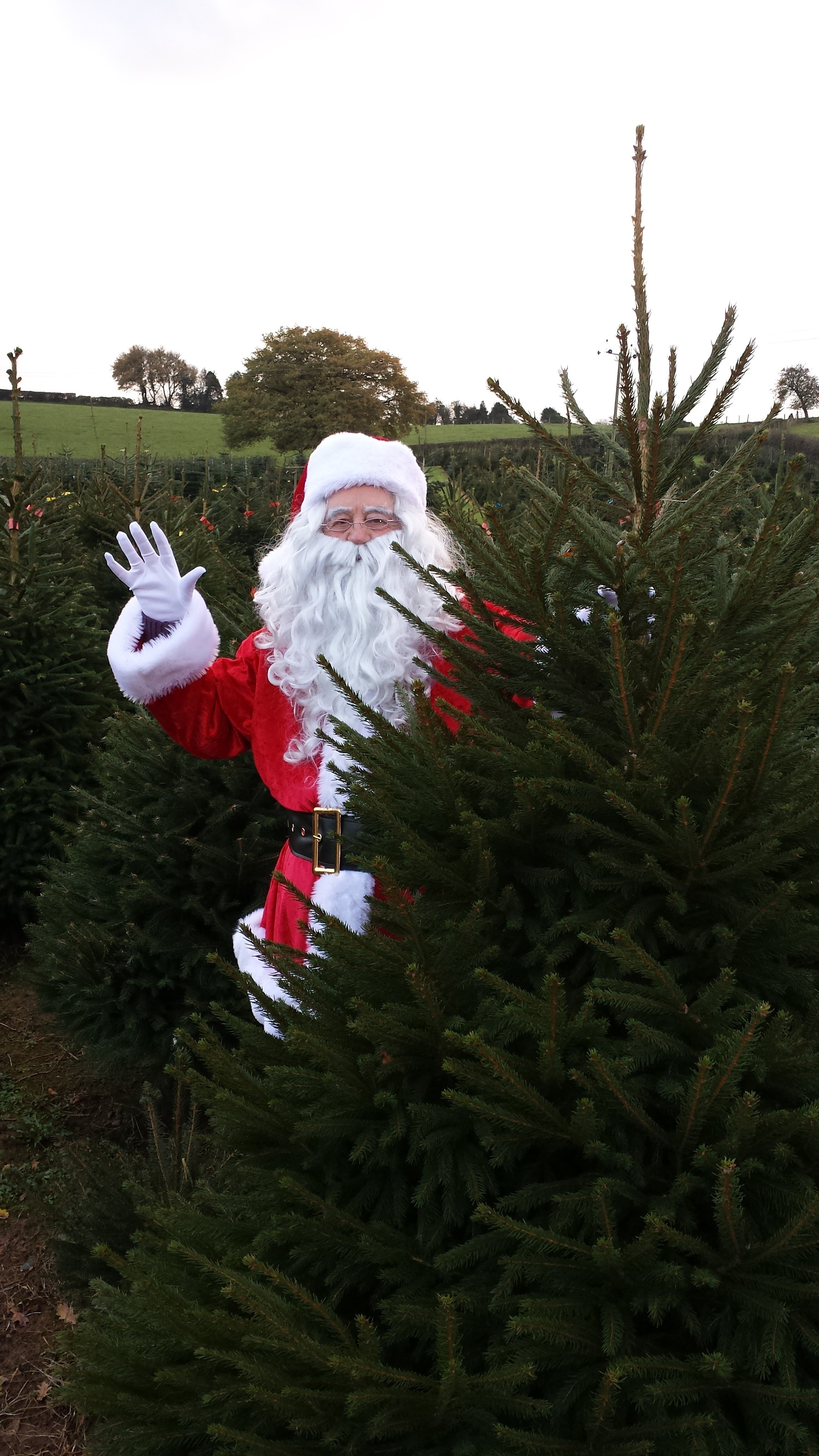 Visit Santa at Festive Farm Dinmore Hill Christmas Trees